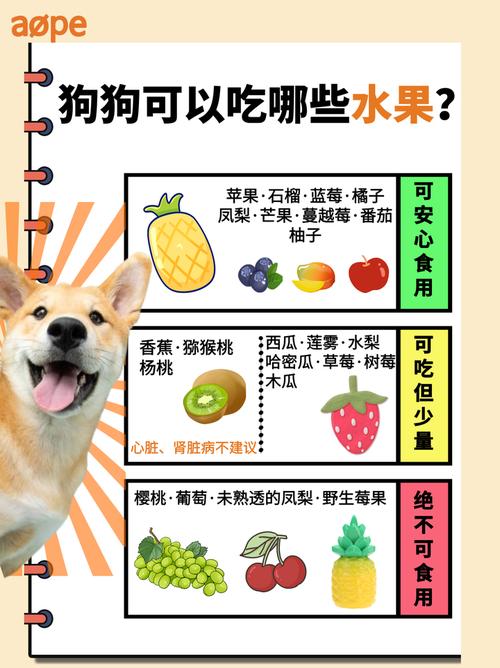 狗狗能吃开心果吗