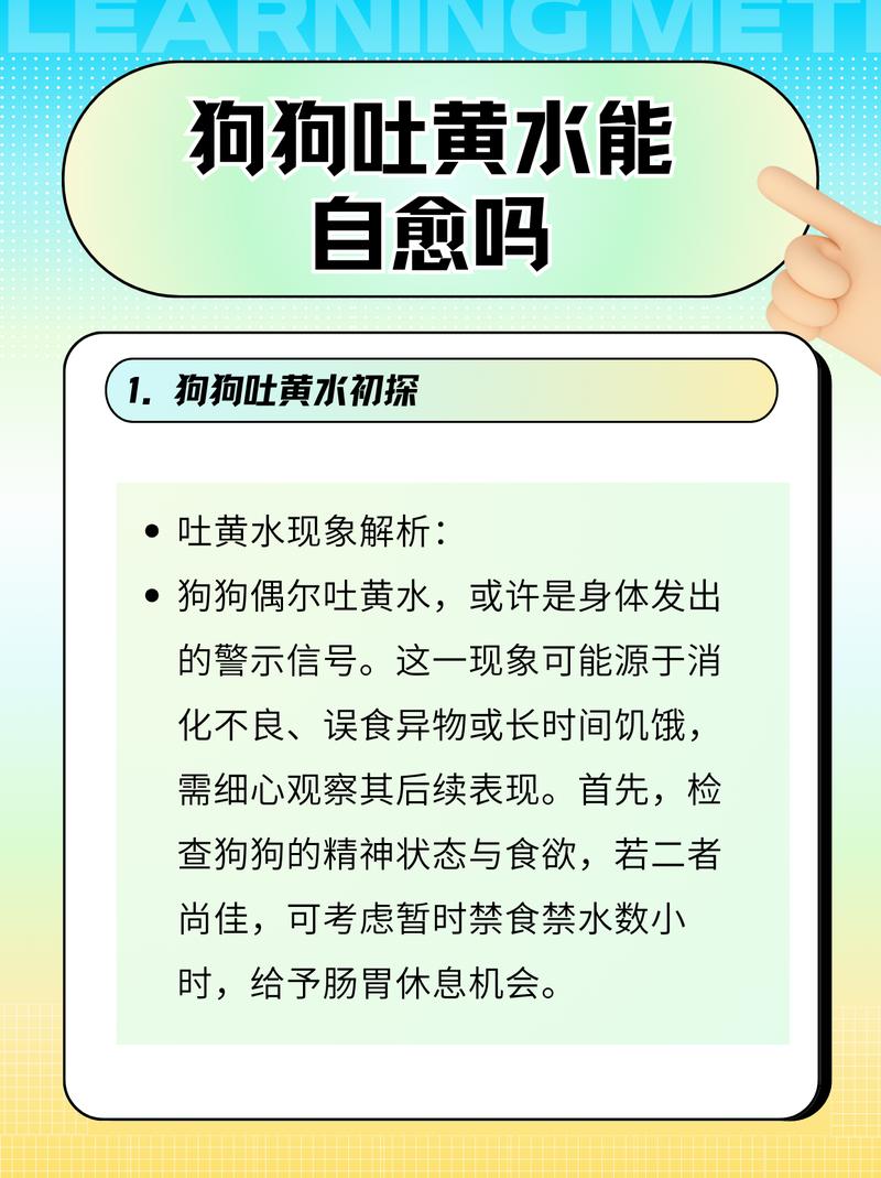 狗狗吐黄水能自愈吗
