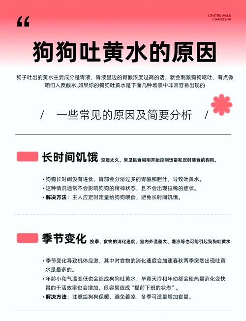 为什么我的狗狗老吐黄水?