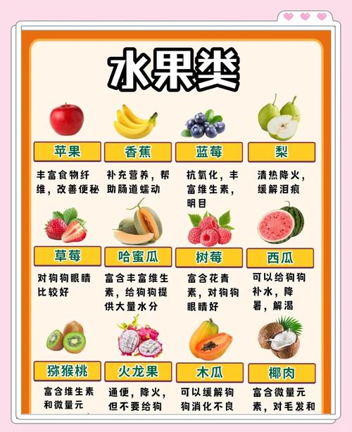 狗狗可以吃什么粥