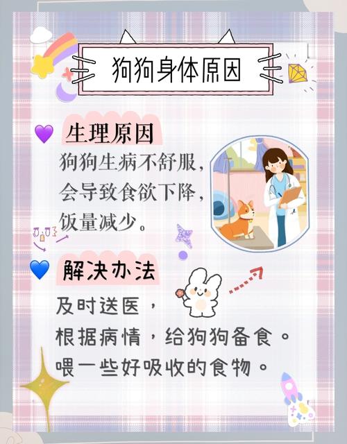 老狗拉肚子,不吃饭,抬着头