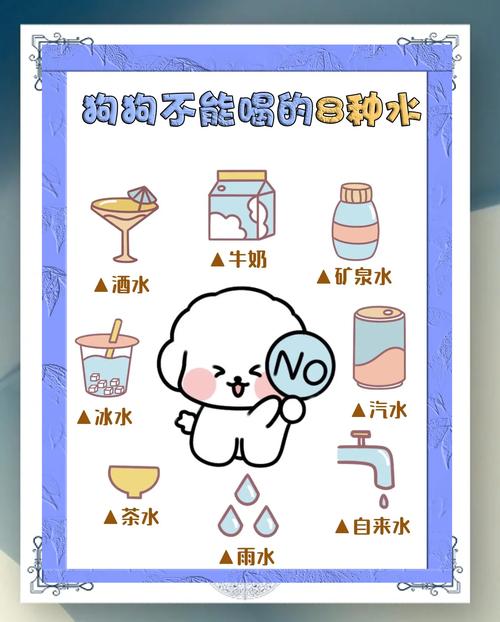 狗狗为什么不能喝饮料
