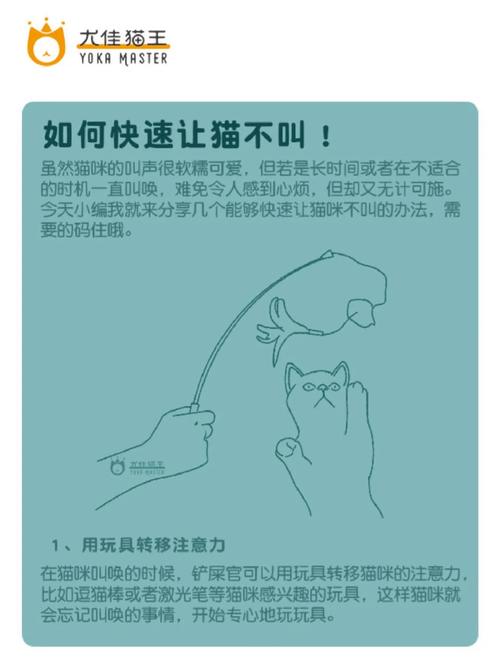 如何让猫咪晚上不闹腾