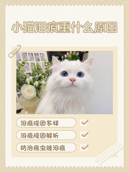 猫咪泪痕很重怎么办啊?
