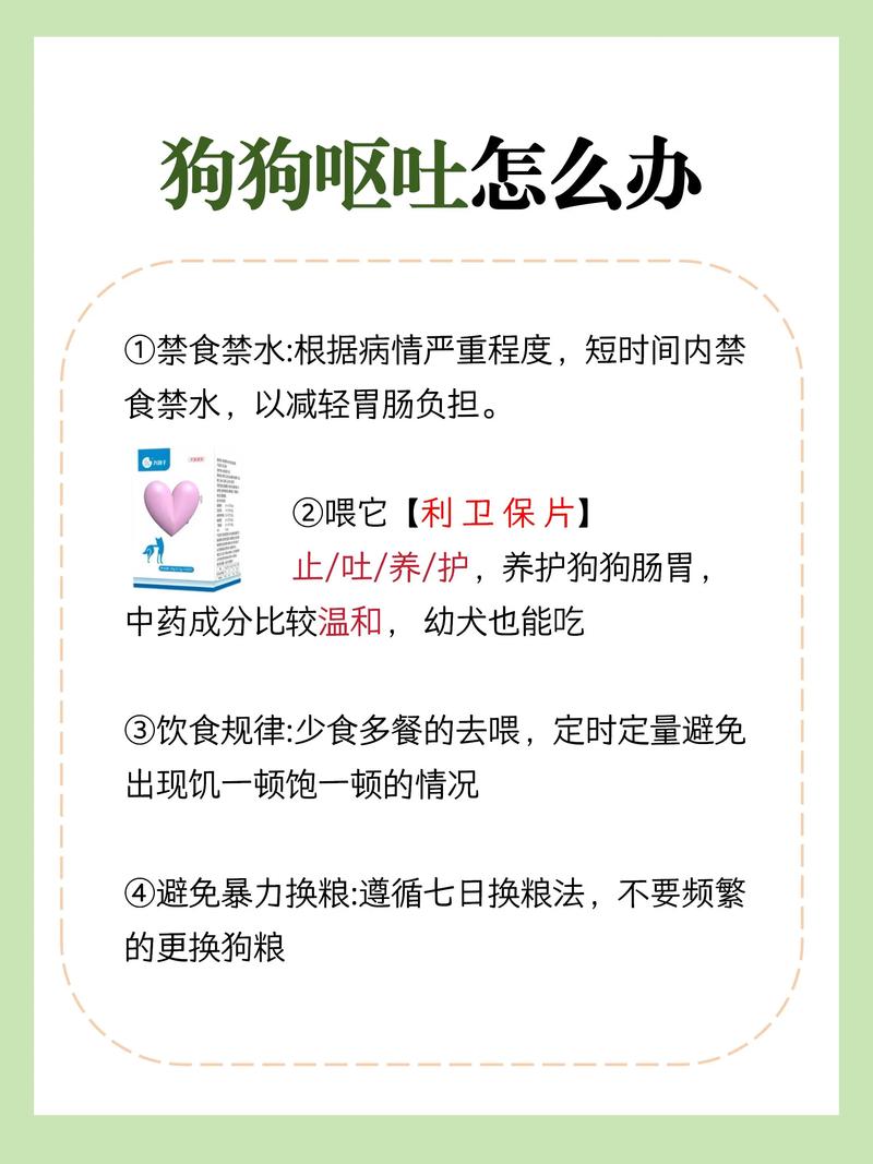 狗狗吐了之后相隔多长时间可以喂狗粮?
