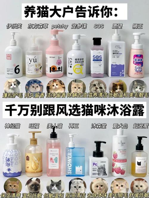 猫咪沐浴露哪个牌子好?