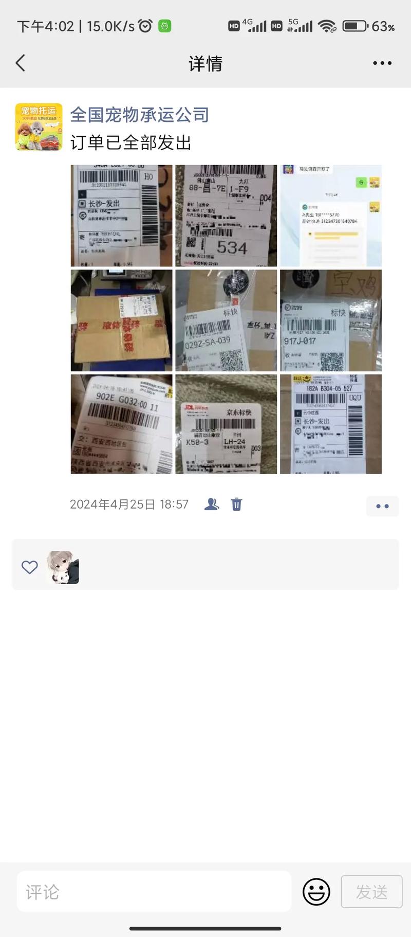 快递能寄宠物猫吗