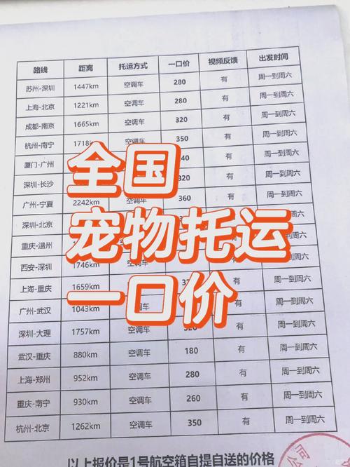 猫咪托运费用一般多少?