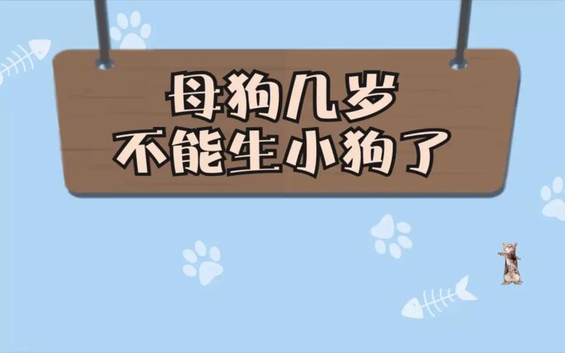 母狗几岁不能生小狗了