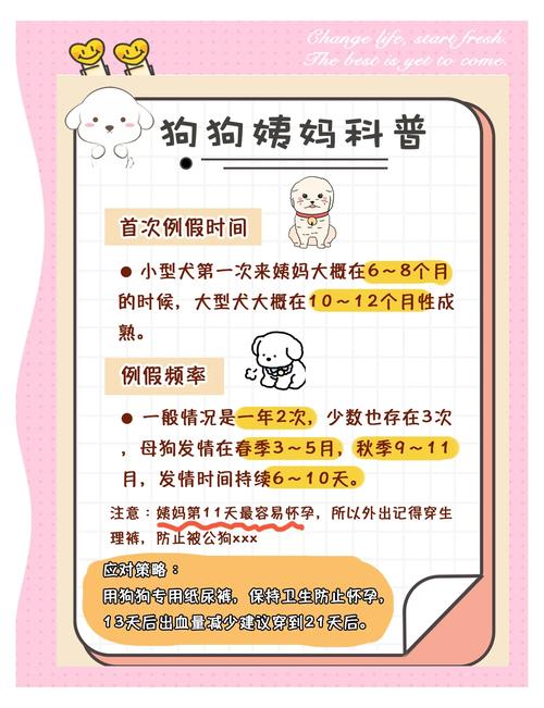 狗狗绝经症状有哪些
