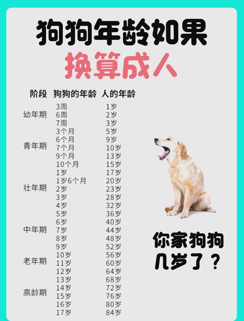 狗狗几岁绝经?