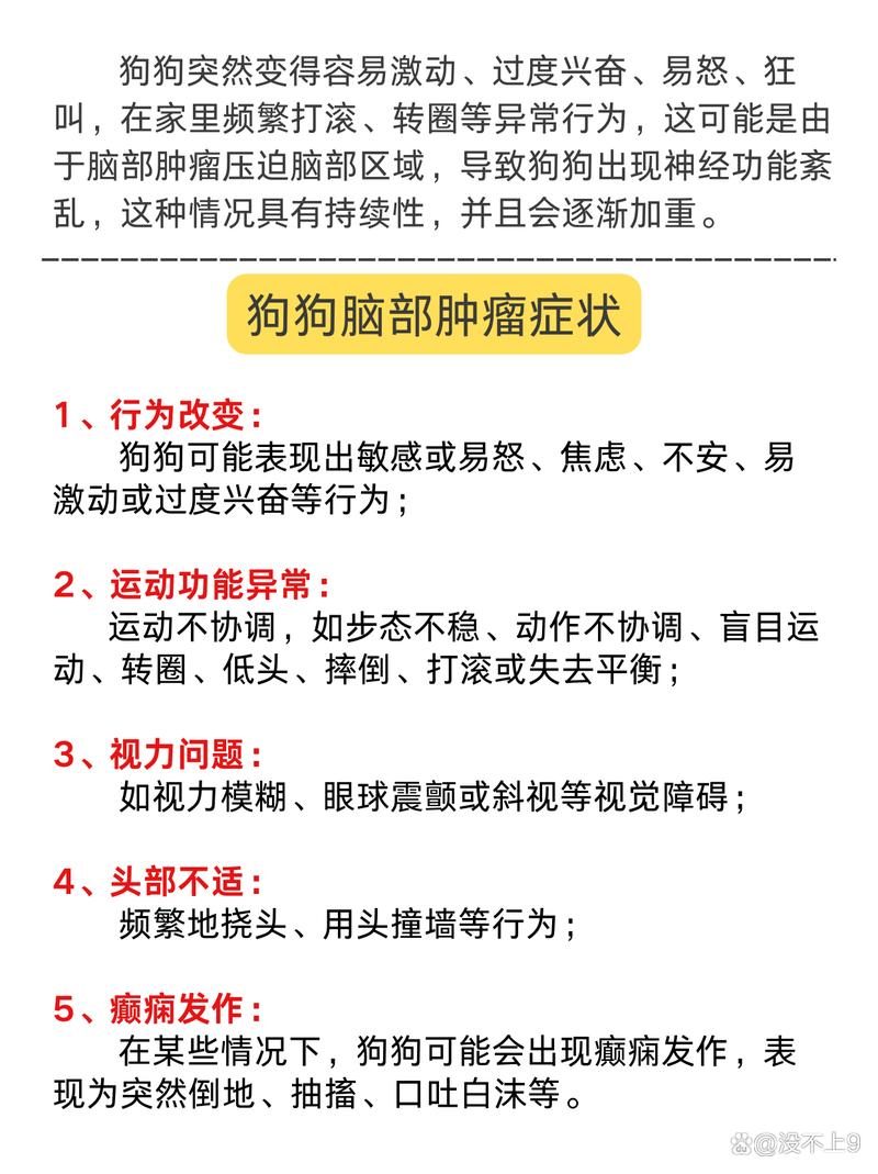 狗狗为什么会过度兴奋