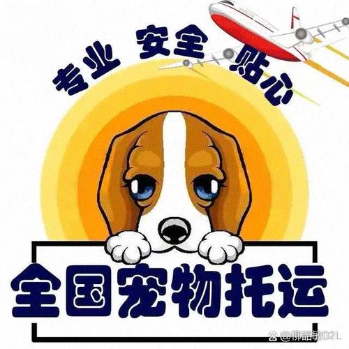 火车上可以带狗吗