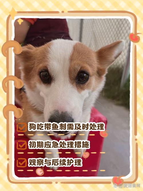 狗狗吃了鱼刺会有事吗