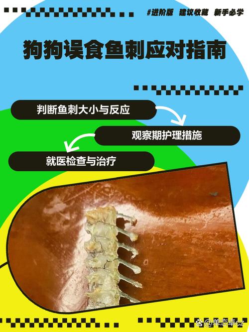 狗吃了鱼刺几天过危险期