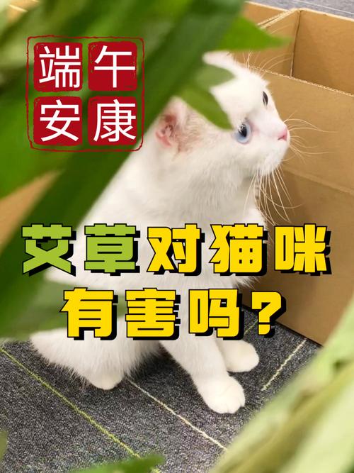 艾草对猫咪的健康会有什么影响?