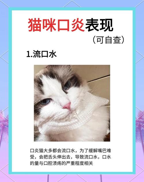 猫咪口臭流口水是什么原因?