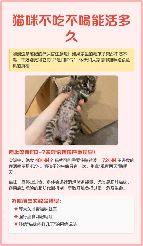 猫咪生病不吃不喝还能持续几天