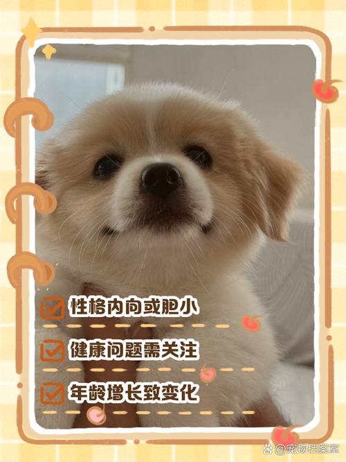 狗以前很会叫但是突然不会叫是为什么
