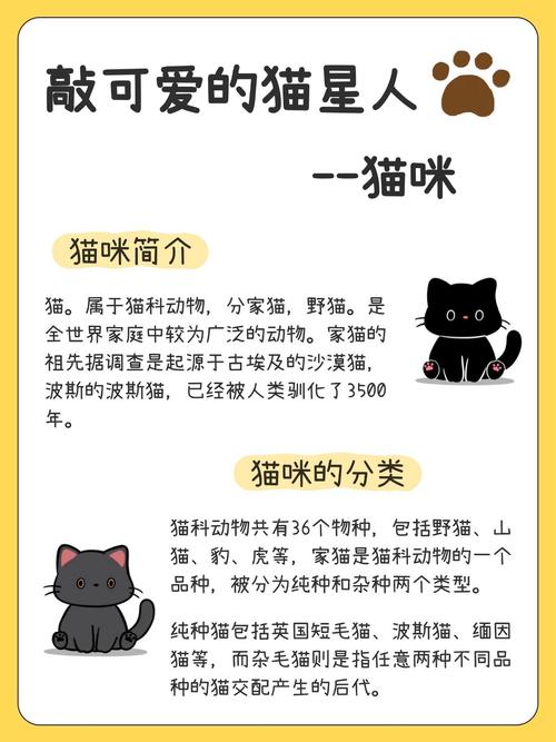 猫咪到底知不知道自己的名字?