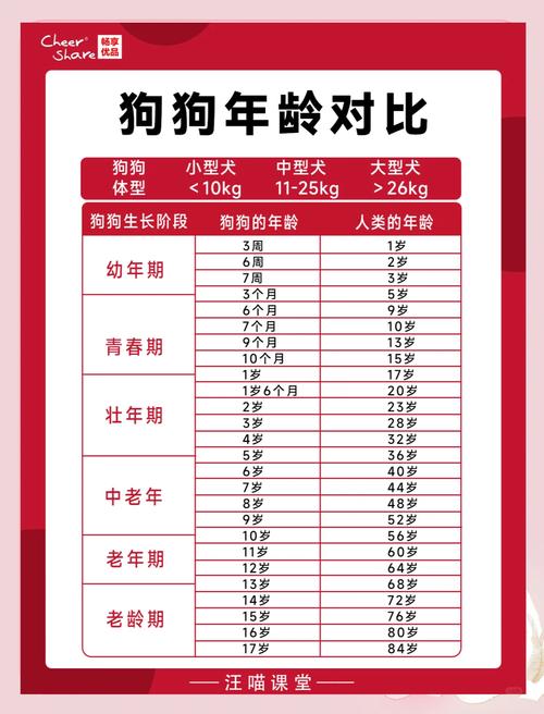 狗的年龄怎么计算