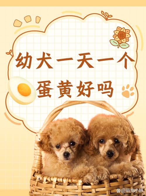 2个月大的狗狗可以吃鸡蛋吗?