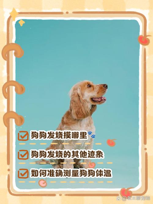 怎么知道狗狗是否在发烧?狗狗发烧的几大特征!