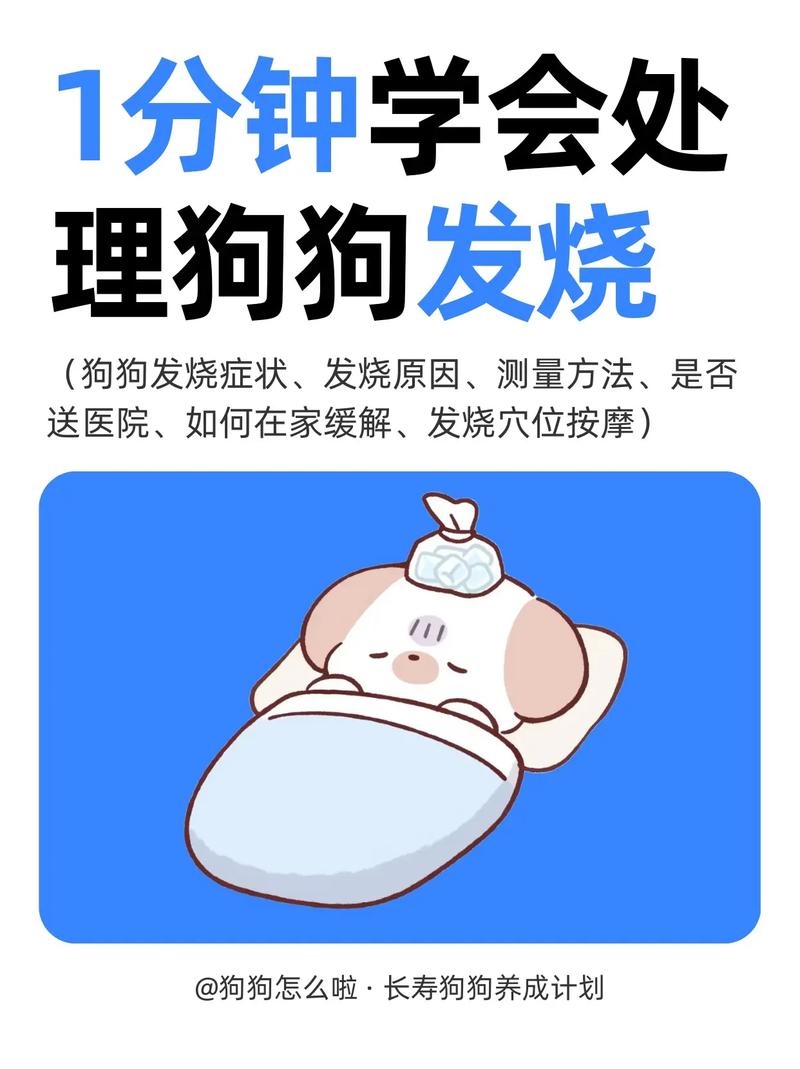 怎么知道狗狗发烧了