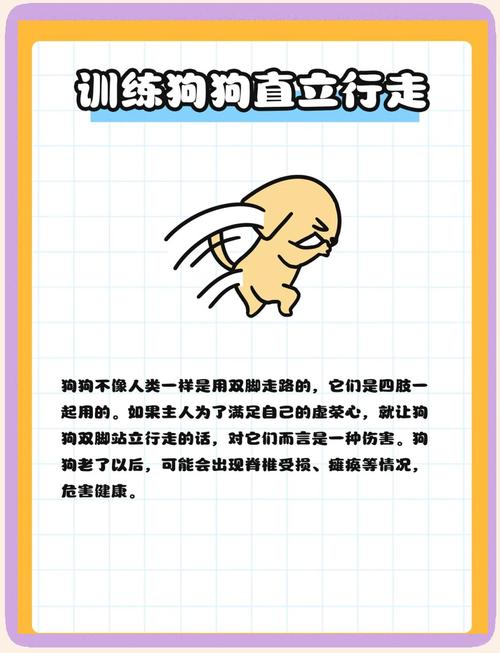狗狗出行请戴好挂牌,狗狗多大能带出去溜