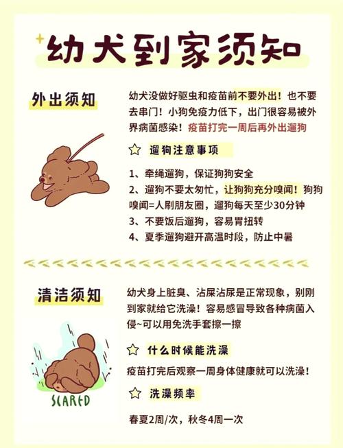 狗狗多大可以出去溜达?