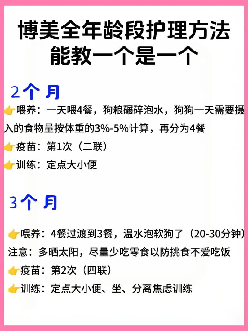 不同年龄的狗狗,如何照顾?