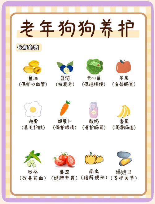 狗狗七个月相当于人多少岁?
