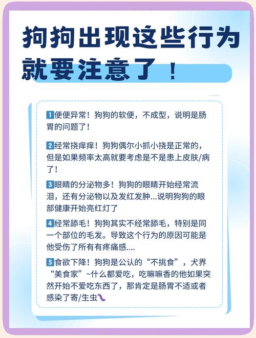 狗狗能不能吃人吃的益生菌?求推荐