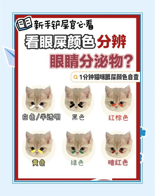 猫咪有泪痕和眼屎是怎么回事
