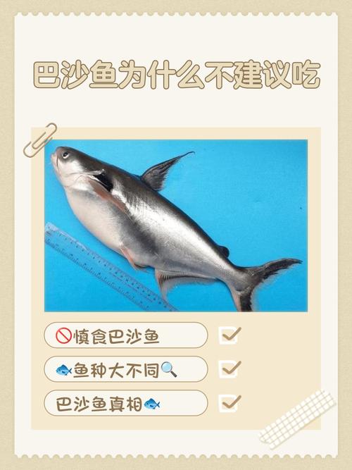 狗狗吃巴沙鱼可以吗?对健康会有什么影响?