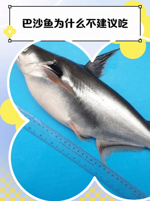 狗狗食用过多的巴沙鱼会怎么样?