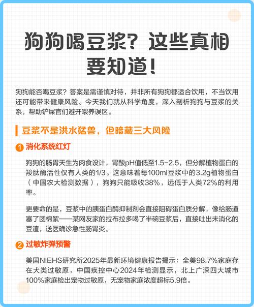 三个月小狗能喝豆浆吗?有哪些其它注意事项呢?